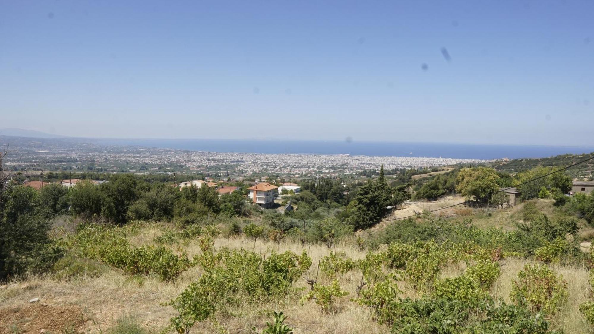 Romanos Patras Studio Dış mekan fotoğraf